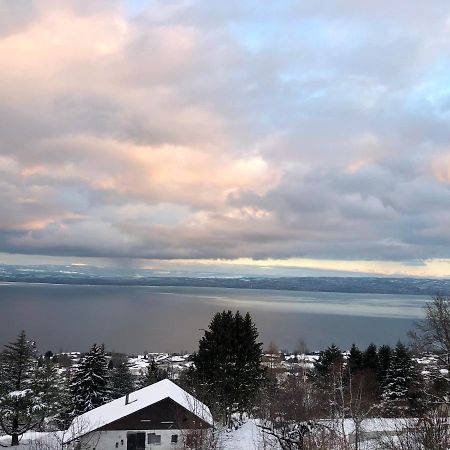 Apartmán Les Vies En Rose Évian-les-Bains Exteriér fotografie