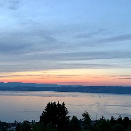 Apartmán Les Vies En Rose Évian-les-Bains Exteriér fotografie