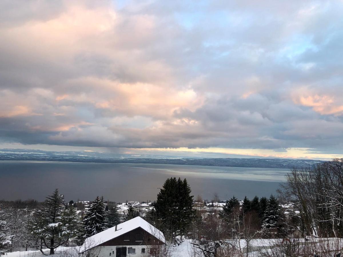 Apartmán Les Vies En Rose Évian-les-Bains Exteriér fotografie