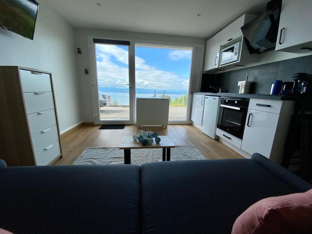 Apartmán Les Vies En Rose Évian-les-Bains Exteriér fotografie