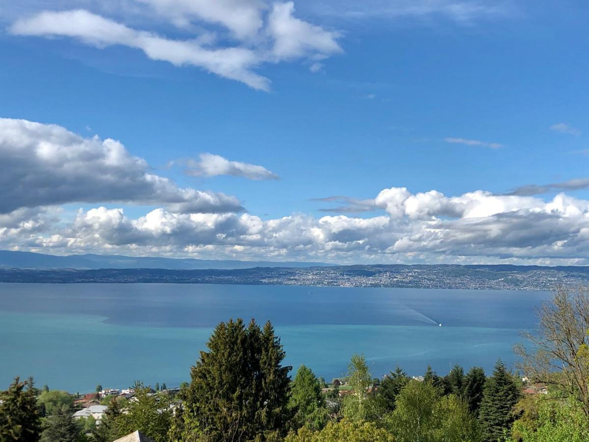 Apartmán Les Vies En Rose Évian-les-Bains Exteriér fotografie